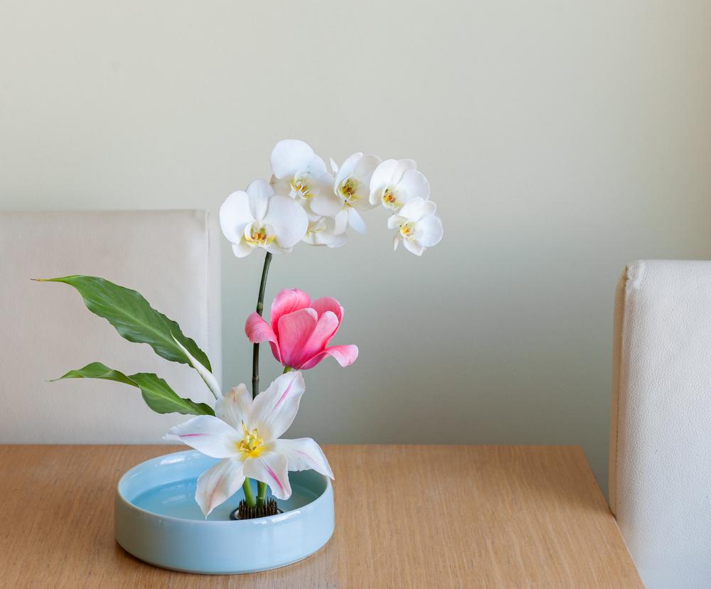 The Japanese art of ikebana uses minimal plant material for maximum effect. (Olena Antonenko/Shutterstock)