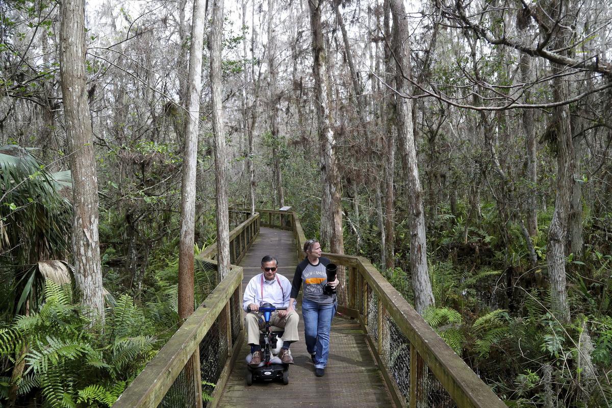 Phill and Elizabeth Frias walk along the Cypress Swamp Boardwalk at the Arthur R. Marshall Loxahatchee National Wildlife Refuge on Tuesday Feb. 15, 2020 west of Boynton Beach. (Susan Stocker/South Florida Sun-Sentinel/TNS)