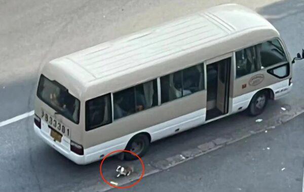 A Corgi dog runs around a bus, on which its owners were waiting to be taken to a quarantine center in Shanghai on April 6, 2022. (Screenshot via The Epoch Times)