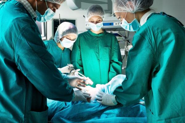 Organ transplants after euthanasia are "an exceptional procedure" with legal, ethical, and operational challenges that could erode society's trust, according to a new report. (Shutterstock)