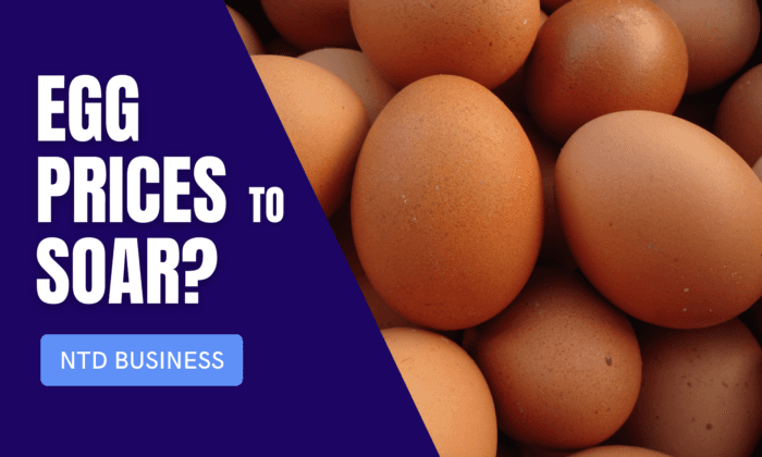 Bird Flu Sends Egg Prices Soaring; New Bills Aim to Boost Domestic Clean Energy | NTD Business