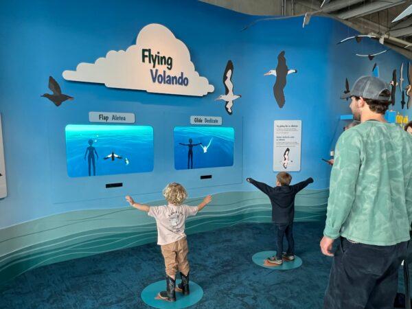 Children “fly” in the Soaring With Seabirds play area. (courtesy of Karen Gough)