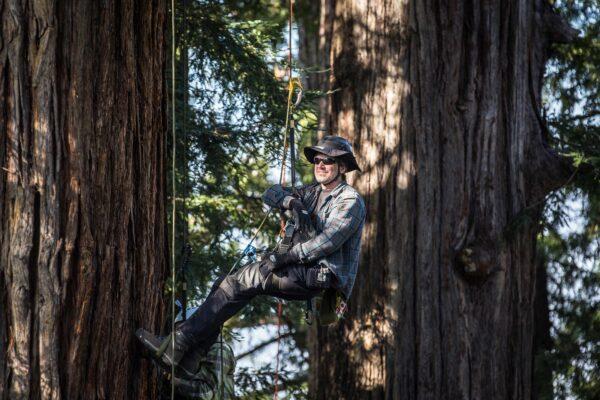 Tim Kovar owns Tree Climbing Planet, a recreational tree climbing school that teaches students how to scale trees hundreds of feet in the air. One of his favorite climbs is going up the redwoods of California. (Steve Lillegren)