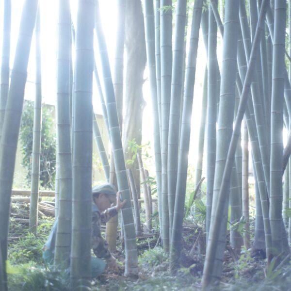 Japanese bamboo artist Noboru Fujinuma looks for the perfect bamboo plant to weave or braid into an object. “Noboru Fujinuma, from 'The Ateliers of Wonders Series, 2020,'” by photographer Rinko Kawauchi. (Rinko Kawauchi/Michelangelo Foundation)