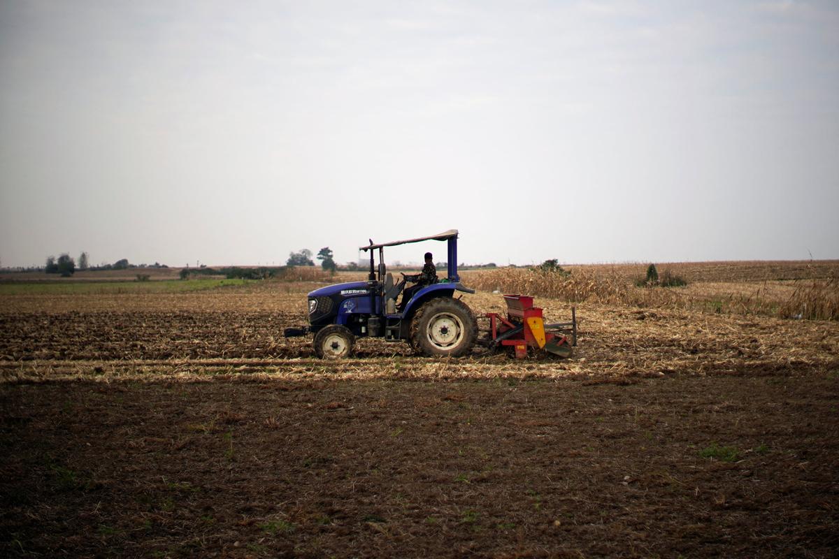 China’s Farmers Face Fertilizer Crunch as COVID-19 Measures Hamper Deliveries