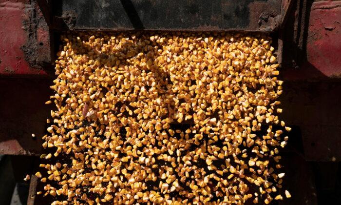 China Books Biggest Deal for US Corn Since May 2021