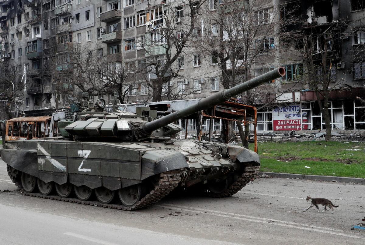 A cat walks next to a tank of pro-Russian troops in front of an apartment building damaged during the Ukraine-Russia conflict in Mariupol, Ukraine, on April 19, 2022. (Alexander Ermochenko/Reuters)