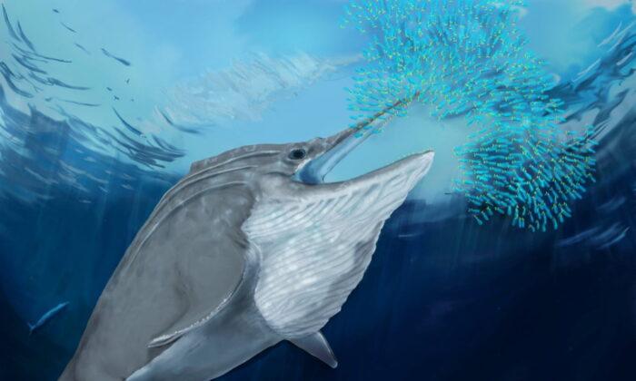 Fossils of Giant Marine Reptiles Found High in the Swiss Alps