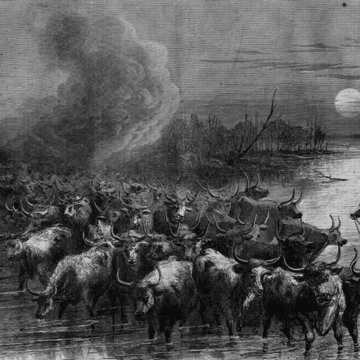 The Epoch Times