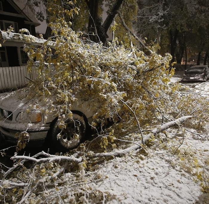 The Epoch Times