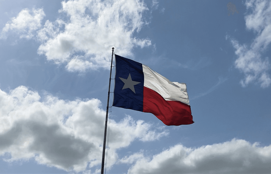 ‘Parent Empowerment Tour’ Providing CRT Information in Texas Before School Board Elections