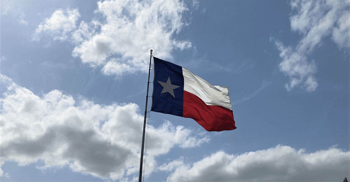 ‘Parent Empowerment Tour’ Providing CRT Information in Texas Before School Board Elections