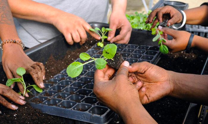 Meet an Alabama Farm That is Partnering with Local Schools to Make Learning Fun