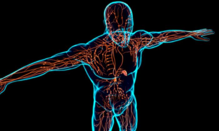 What We Should Know About Our Lymphatic System