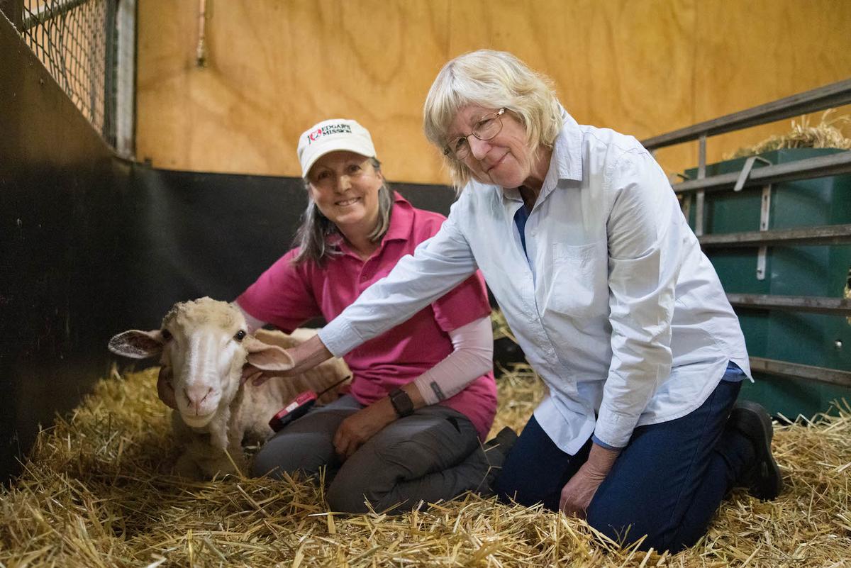 Edgar's Mission founder and director Pam Ahern (L) and bushwalker Chris Dyson with the rescued ram, Alex. (Courtesy of <a href="https://www.edgarsmission.org.au/">Edgar’s Mission</a>)