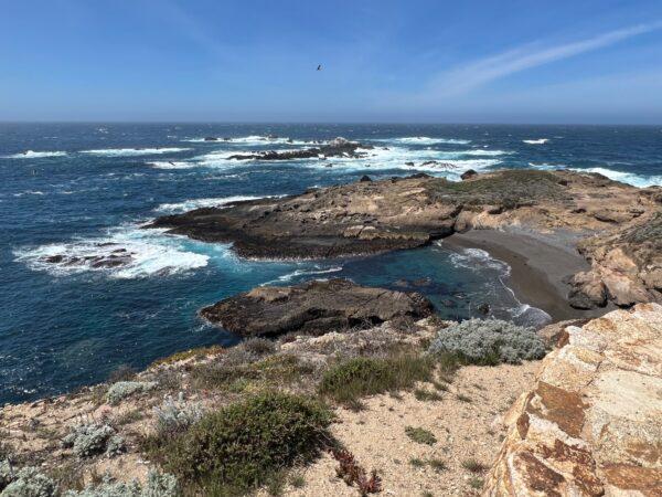 An ocean view of Point Lobos. (courtesy of Karen Gough)
