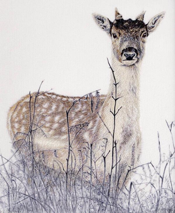 "Richmond Young Deer," 2021, by Susannah Weiland. Pencil drawing printed onto cotton-silk fabric and hand embroidered with matte, silk, and metallic fine machine embroidery threads. Framed: 13.2 inches by 15.7 inches. (Susannah Weiland)