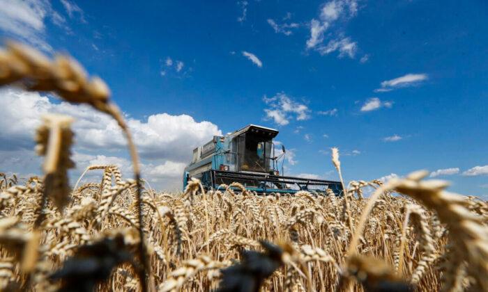 War in Ukraine to Have Long-Term Impact on Food Prices: UN Report