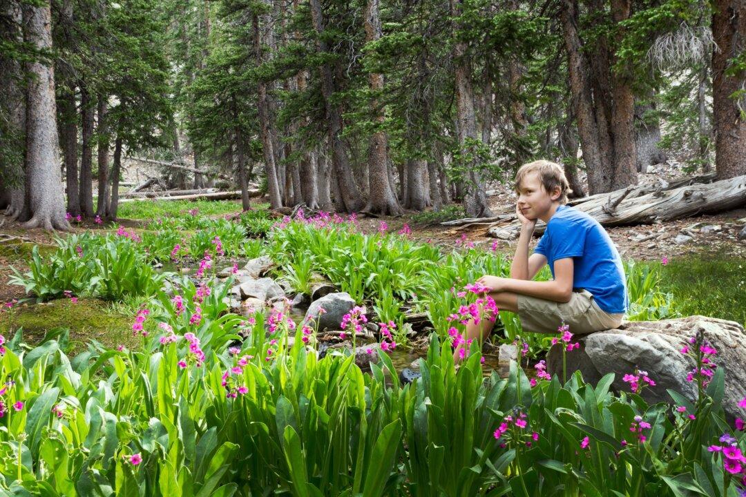 Explore Places That Blend History, Nature, Culture