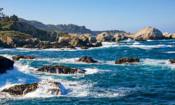The Fascinating History of Point Lobos, Calif.