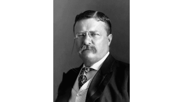 Photograph of U.S. President Theodore Roosevelt (cropped), circa 1904, by Pack Bros. Library of Congress. (Public Domain)