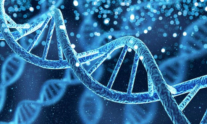 DNA Testing: Unlocking the Genetic Code of Personalized Medicine and Longevity