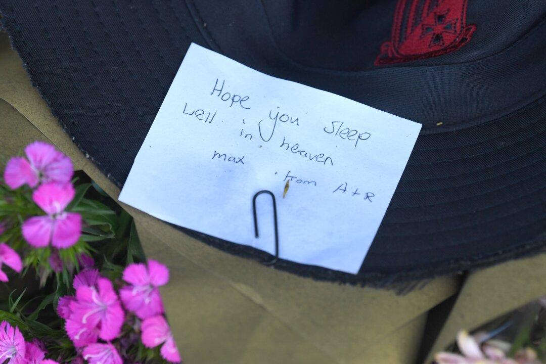 Health and Safety Laws: Safe but Not Harmless