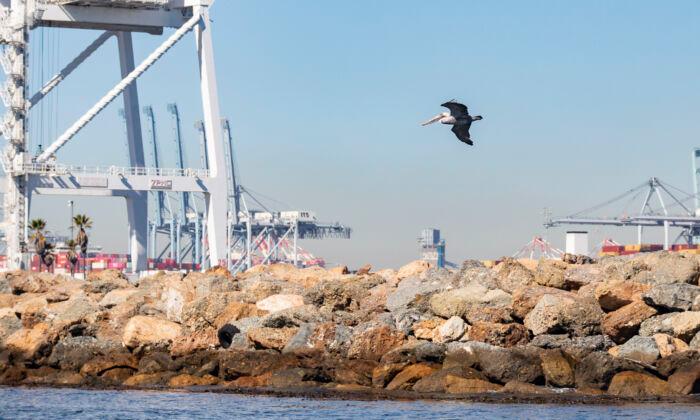 LA Port Unveils New Wildlife Website