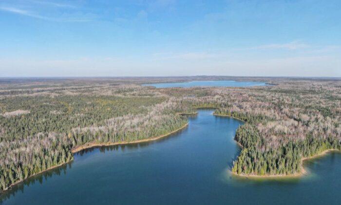 Swath of Boreal Forest Twice the Size of Toronto to Be Protected in Northern Ontario