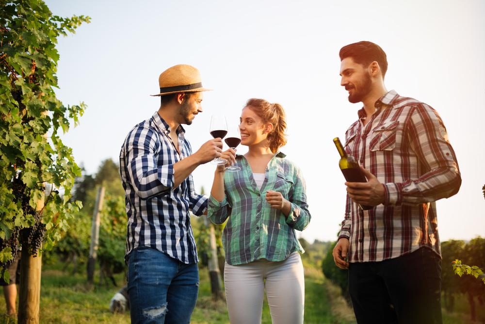 Visiting wineries to see how the grapes are grown and converted into wine is a great way to expand your knowledge base. It’s also a lot of fun! (NDAB Creativity/Shutterstock)