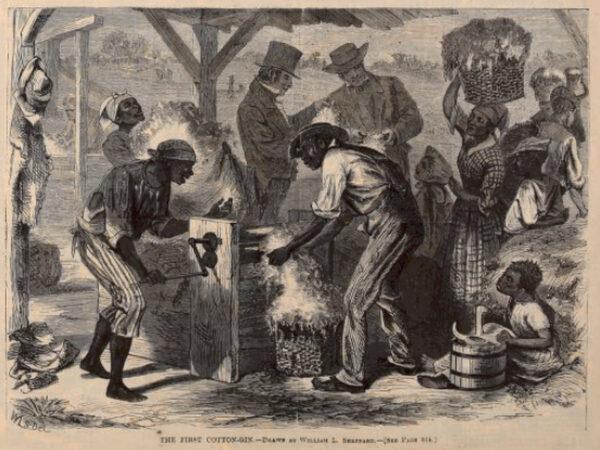 African American slaves using a cotton gin, 1790-1800, drawn by William L. Sheppard. This illustration appeared in Harper’s Weekly, Dec. 18, 1869. (Public Domain)