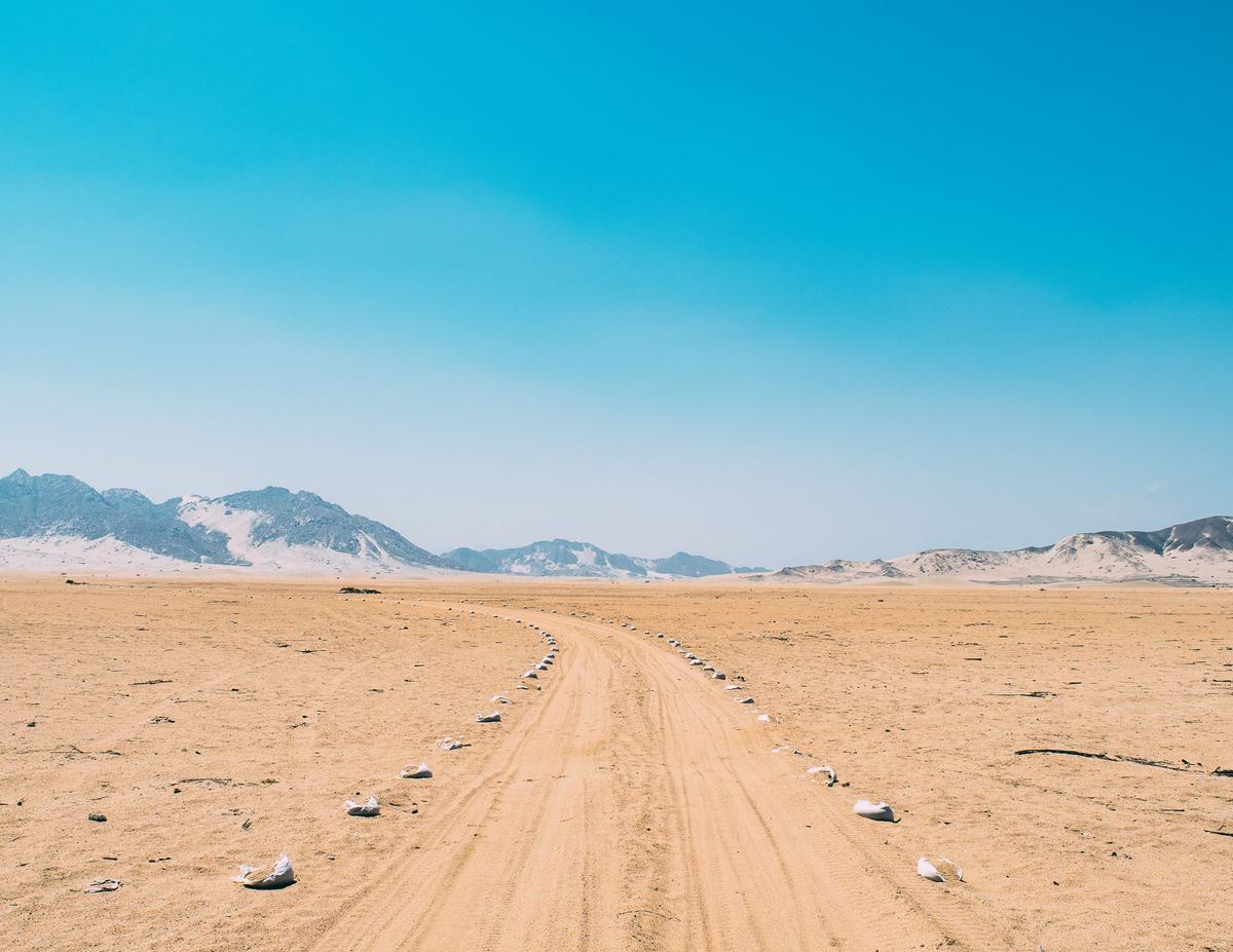 Empty path in the north Peruvian desert. (Courtesy of <a href="https://www.instagram.com/theworldwalk/">Tom Turcich</a>)