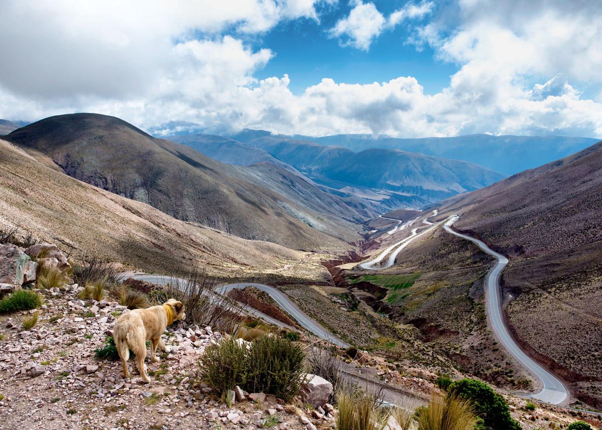 Descending from Paso de Jama, Argentina. (Courtesy of <a href="https://www.instagram.com/theworldwalk/">Tom Turcich</a>)