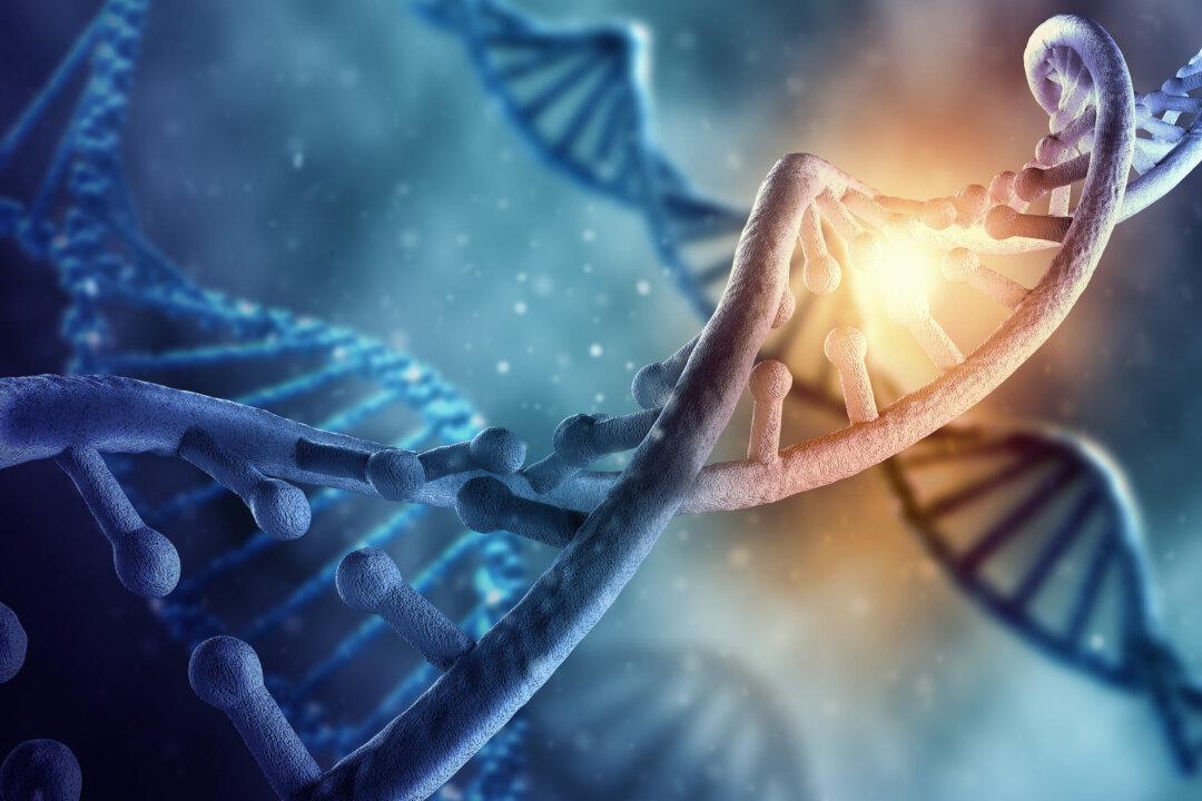 Organ Transplant Recipients Retain Donor Traits—Why?