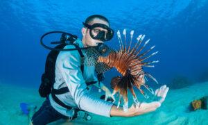  Lionfish Cuisine Puts an Invasive Species on the Dinner Table