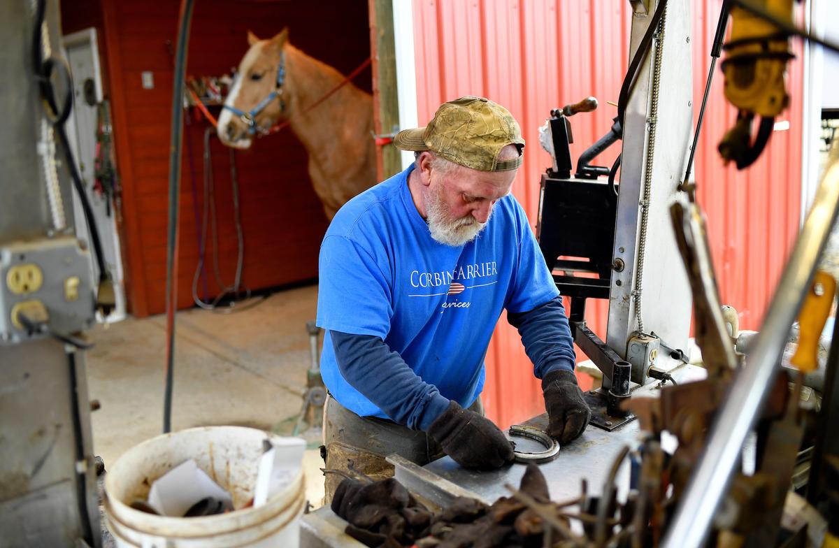 Measuring and working on the new shoe to get it the exact right size for the horse's foot. (Randy Litzinger for The Epoch Times)