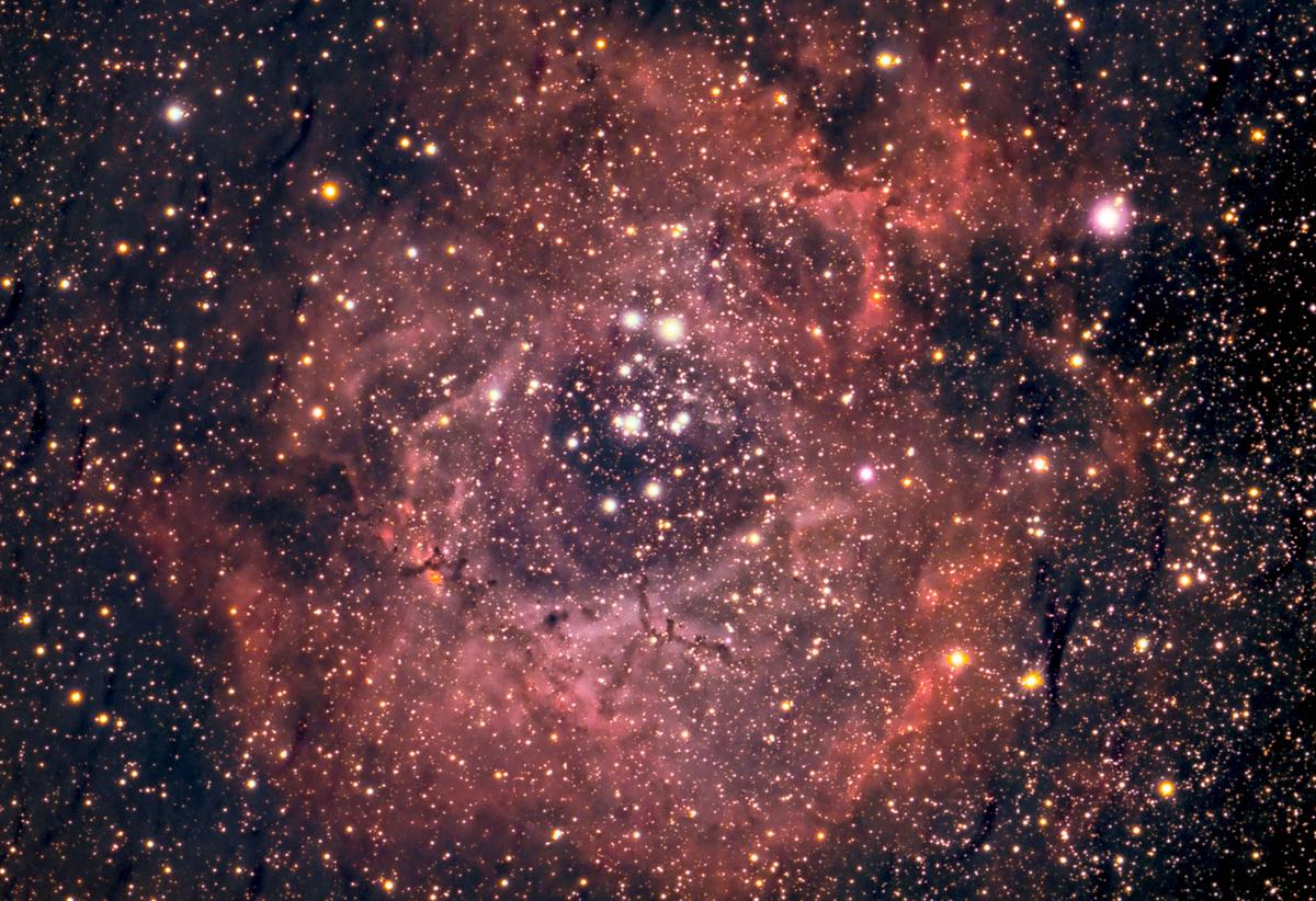 The Rosette Nebula, an open star cluster with rose-like cosmic clouds of gas and dust. (SWNS)