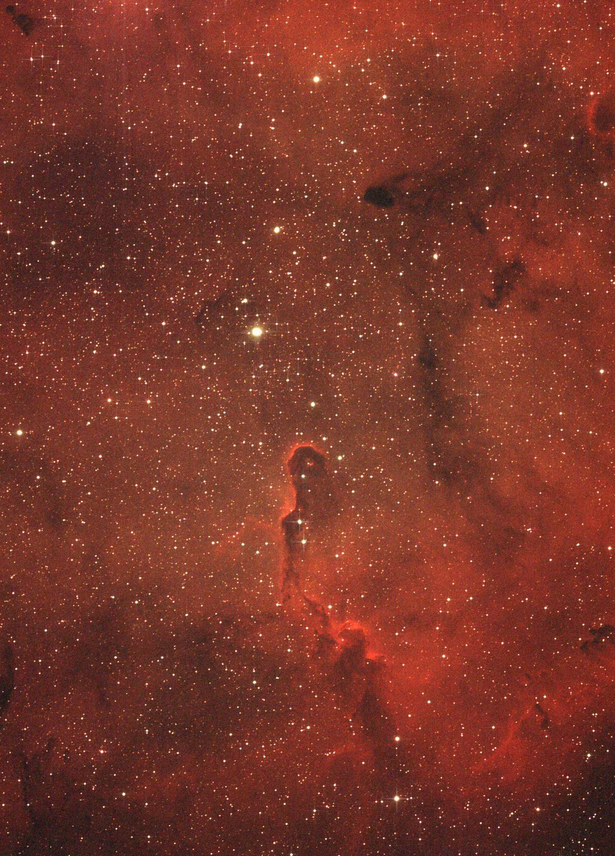 The Elephant's Trunk Nebula is a concentration of interstellar gas and dust within the much larger ionized gas region IC 1396, located in the constellation Cepheus about 2,400 light-years away from Earth. (SWNS)