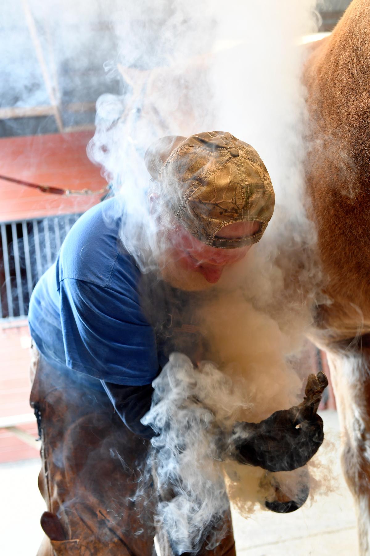 Placing a heated new horseshoe on the hoof. (Randy Litzinger for The Epoch Times)