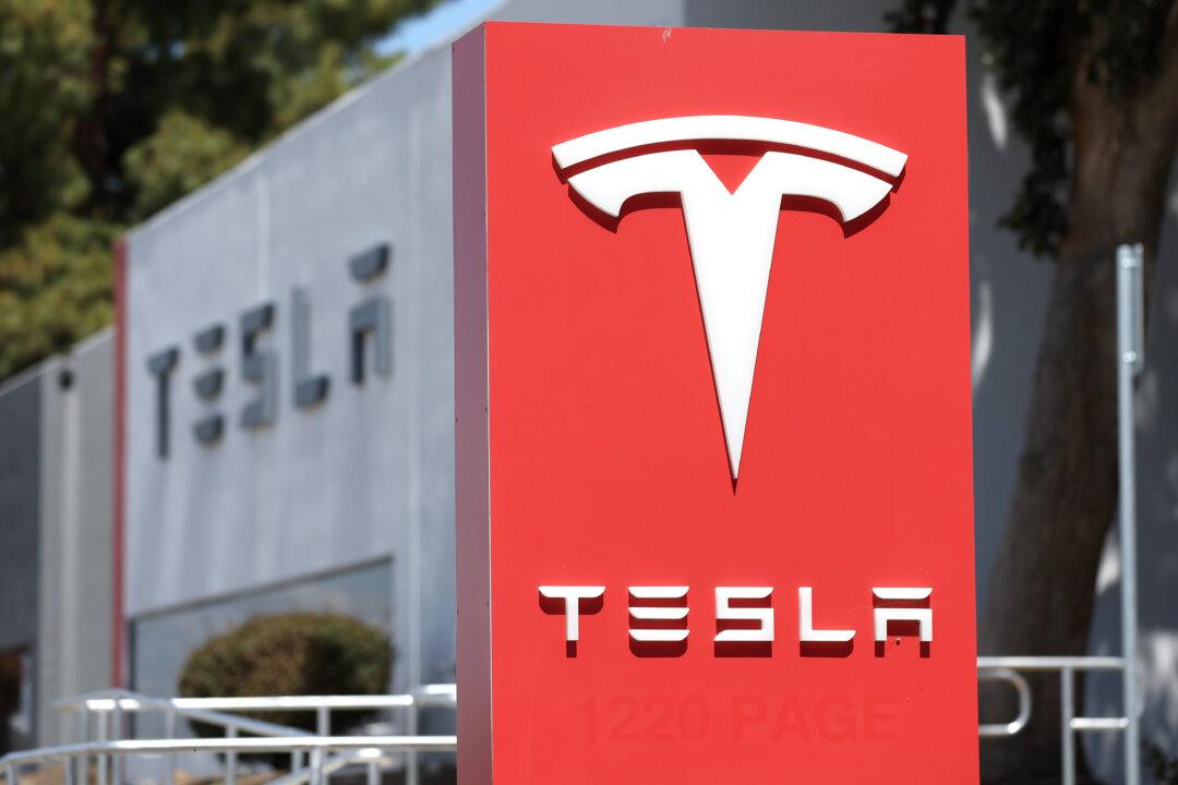 Tesla Shares Plummet Through Key Levels: Did Musk Feed the Stock to the Bears?