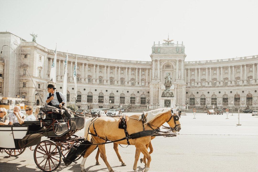 Exploring Vienna: Esperanto, Schnitzel, and Quirky Museums