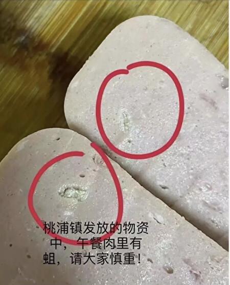 The screenshot shows that there are maggots in the spam among the food distributed by authorities in Taopu Town, Putuo District, Shanghai. April, 2022. (Supplied)