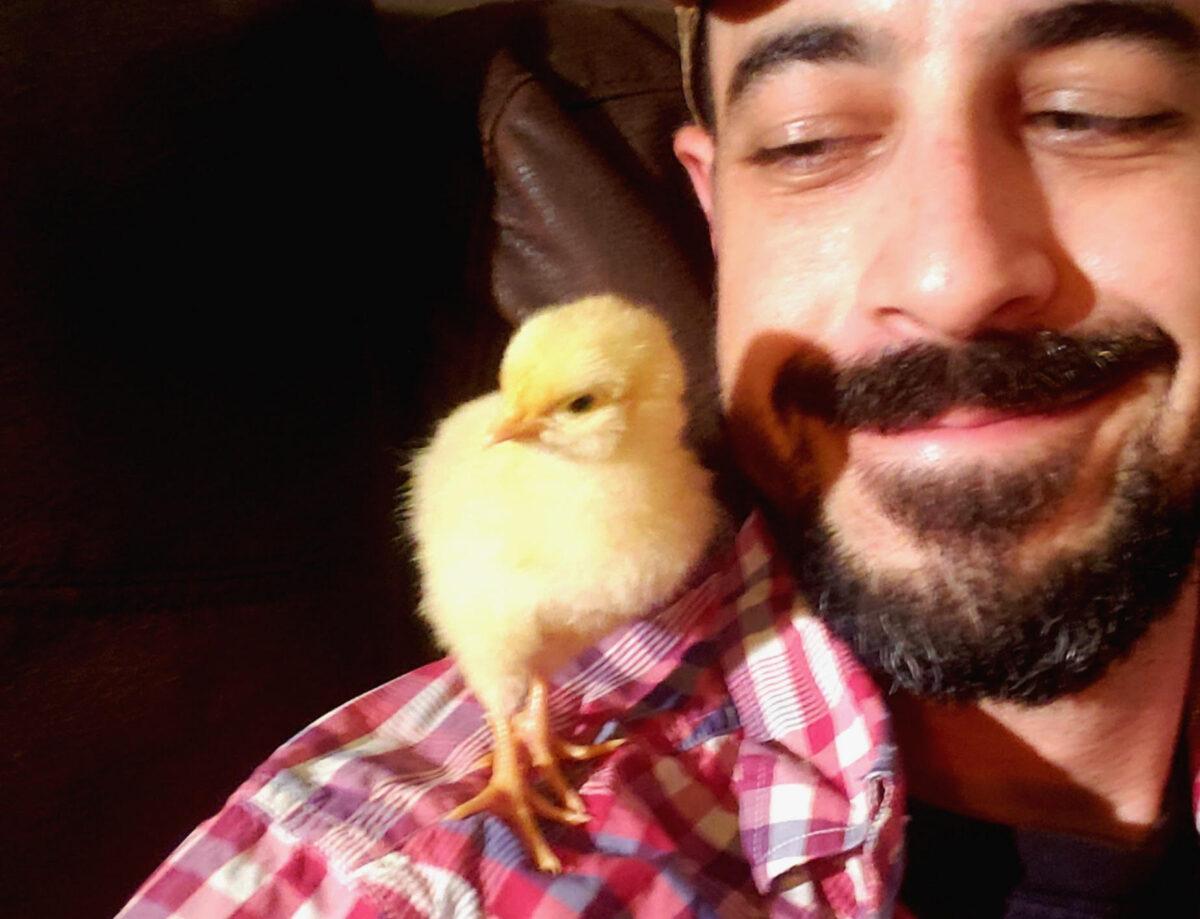 John Snyder shares a little snuggle time with one of his baby chicks. (Courtesy of John Snyder)
