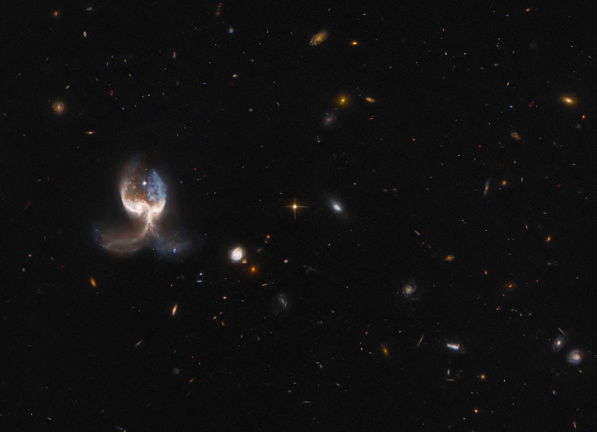 The two merging galaxies in the VV689 system, from the NASA/ESA Hubble Space Telescope, were nicknamed the "Angel Wing" because of their symmetrical dust trails giving the impression of a vast set of galactic wings. (<a href="https://esahubble.org/images/potw2216a/">ESA/Hubble</a> and NASA, W. Keel. Acknowledgement: J. Schmidt/CC BY 4.0)