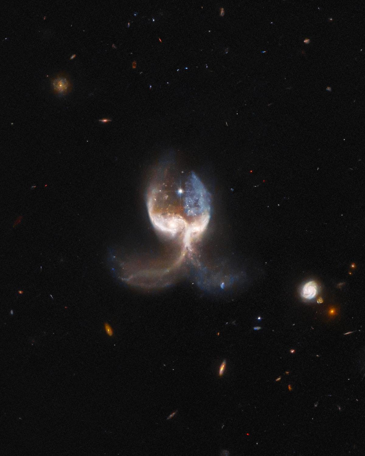 Detail of the two merging galaxies in the VV689 system. (<a href="https://esahubble.org/images/potw2216b/">ESA/Hubble</a> and NASA, W. Keel. Acknowledgement: J. Schmidt/CC BY 4.0)