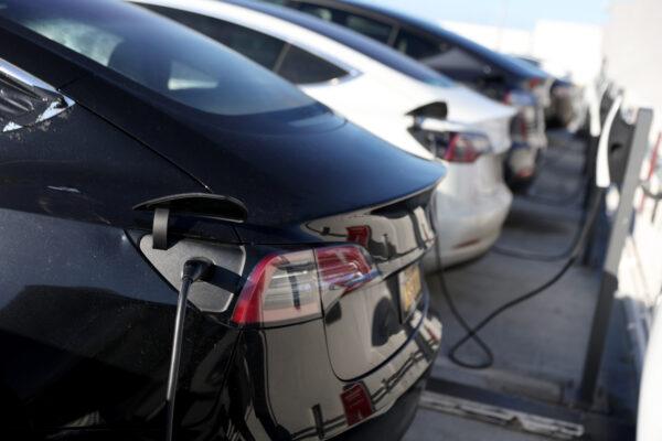 E-cars recharge their batteries in San Francisco on March 9, 2022. (Justin Sullivan/Getty Images)
