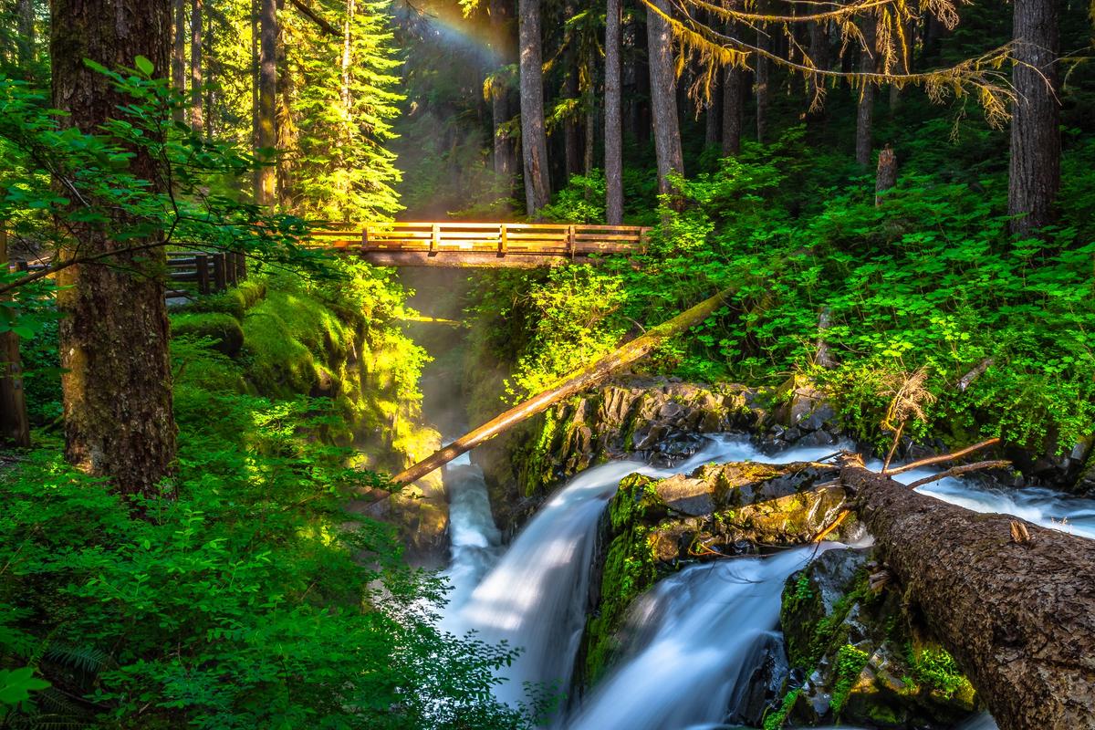 Morning Hike to Sol Duc Falls in Hoh Rainforest in Olympic National Park, Washington. (Jeremy Janus/Shutterstock)