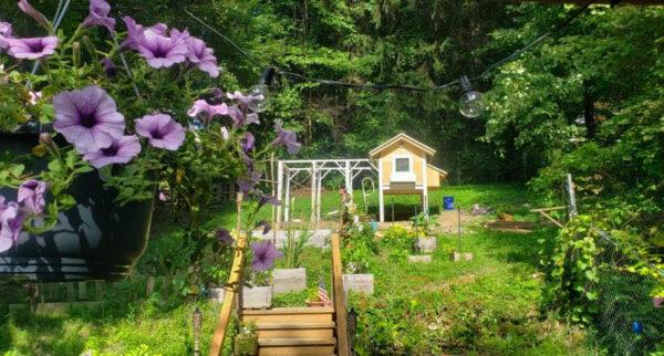 A staircase framed by a beautiful tiered garden leads up to a handmade chicken coop in a "typical neighborhood" in Binghamton, N.Y. (Courtesy of John Snyder)