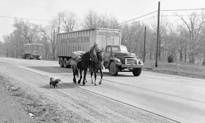 Book Review: ‘The Ride of Her Life: The True Story of a Woman, Her Horse, and Their Last-Chance Journey Across America’