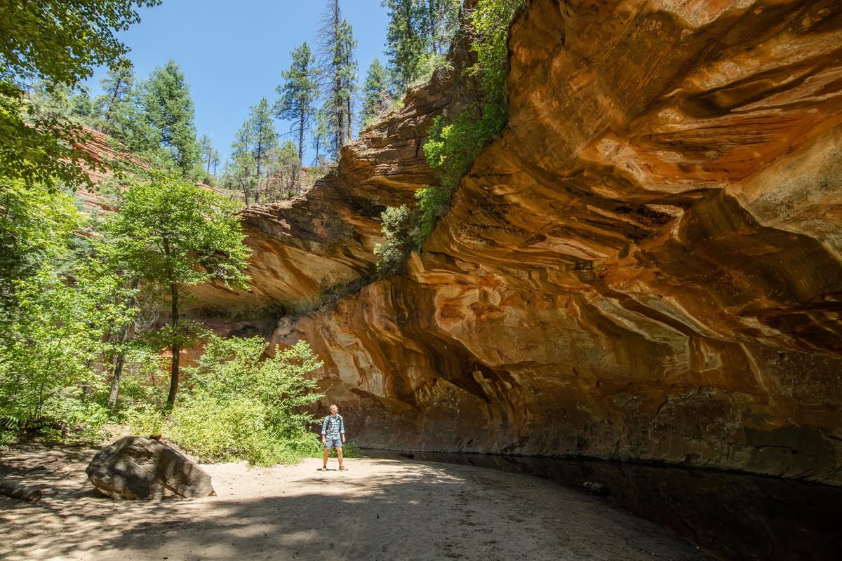 Oak Creek Canyon on the West Fork trail in Arizona, between Flagstaff and Sedona. (Sam Spicer/Shutterstock)